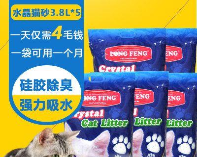 如何训练猫咪使用水晶猫砂（以宠物为主）