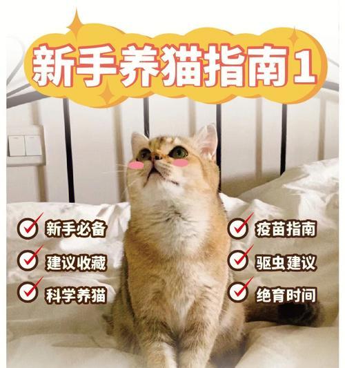 给宠物猫咪打三针疫苗的重要性（打疫苗可保护宠物健康）