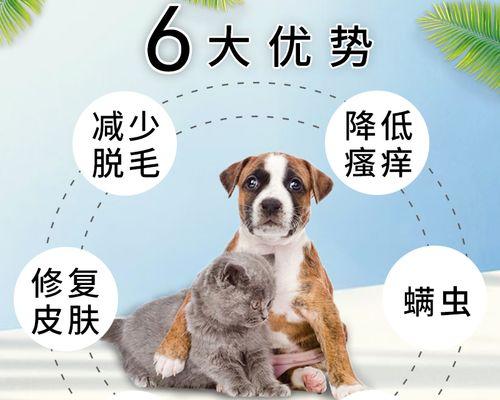 猫咪螨虫感染全面解析（宠物必看）