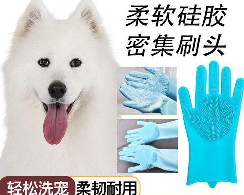 被小狗咬了该怎么办（宠物犬咬伤处理方法及预防措施）