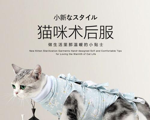 猫咪多久断奶？如何正确给宠物猫断奶？