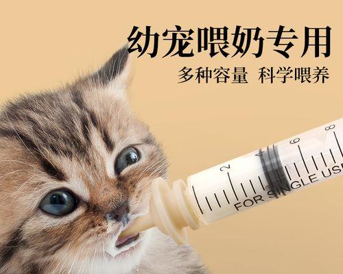 如何为刚出生的小猫正确喂食（宠物爱好者必看的小猫喂食指南）