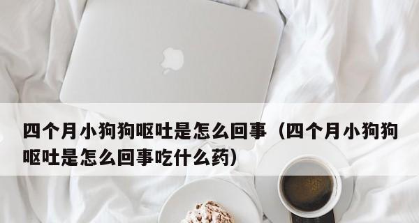 宠物狗吃完骨头后吐了怎么办（细心呵护）