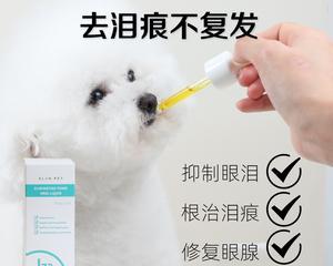 狗眼屎常见症状及治疗方法（宠物眼药水的选择和使用）