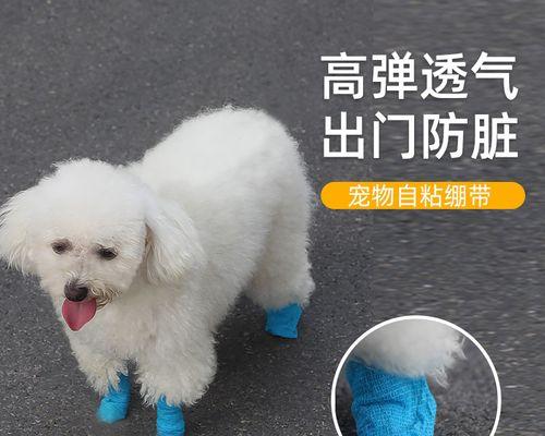 狗狗伸爪子的含义（揭开狗狗伸爪子背后的秘密）