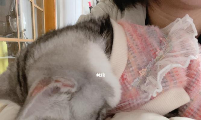 猫咪睡眠时间有多长（了解你家猫咪的睡眠规律和健康问题）