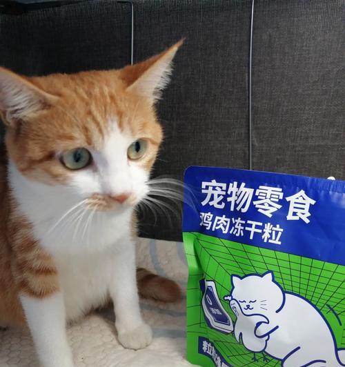 3个月大的猫咪可以吃鸡肉吗（了解猫咪的食物需求）