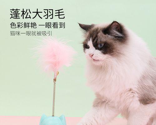 猫咪咬人出血应该及时处理，预防感染（猫咪咬人出血应该及时处理）