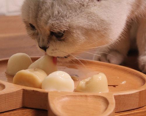 猫咪每天应该吃多少罐头（揭开猫咪罐头饮食的秘密）