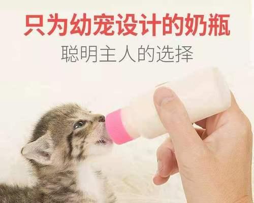 8个月大的狗狗如何正确吃成犬粮（从宠物的健康角度出发）