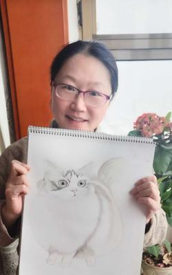 画出可爱的q版布偶猫（宠物美术绘画指南）