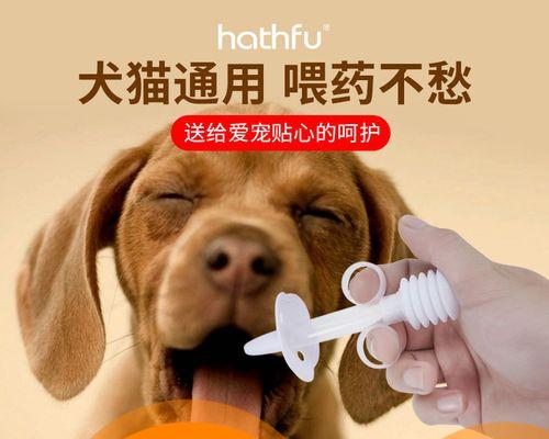 宠物犬夜间进食指南（宠物犬夜间进食指南）