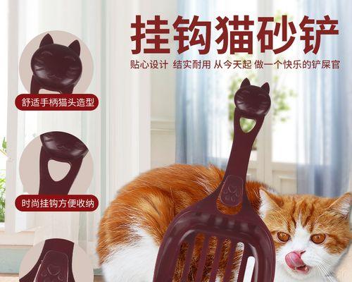 如何选择适合刚出生小猫的猫砂（了解小猫生长阶段）