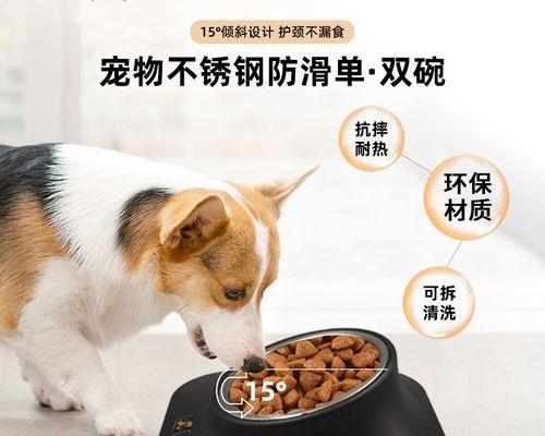 狗狗英文名字大全（给你的宠物犬起一个与众不同的名字吧）