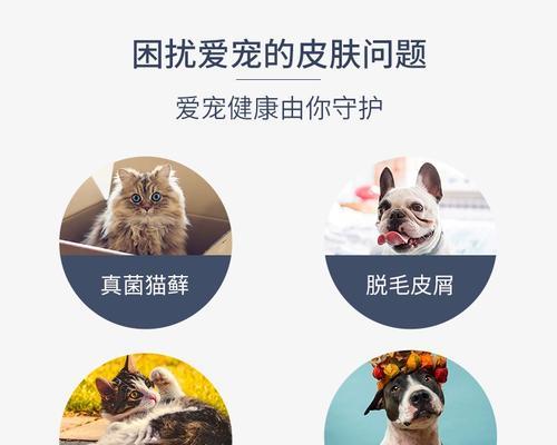 为宠物猫咪做药浴，选择洁尔阴（以药浴清洁皮肤、毛发）