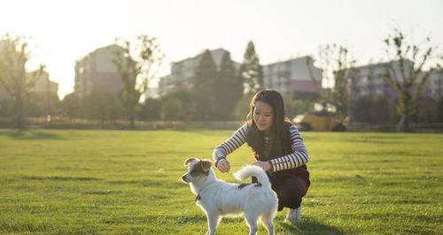 如何避免溜狗时狗狗扑人（以宠物为主的安全出行指南）