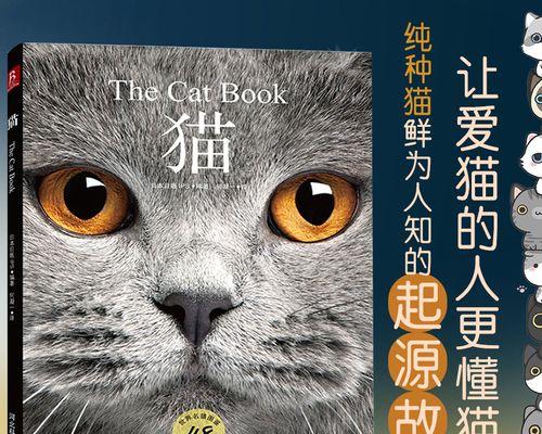 猫咪怀孕周期及症状详解（以宠物为主）