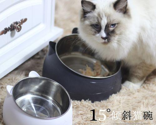 为什么猫妈妈要舔小猫（探究猫妈妈舔小猫的原因与作用）