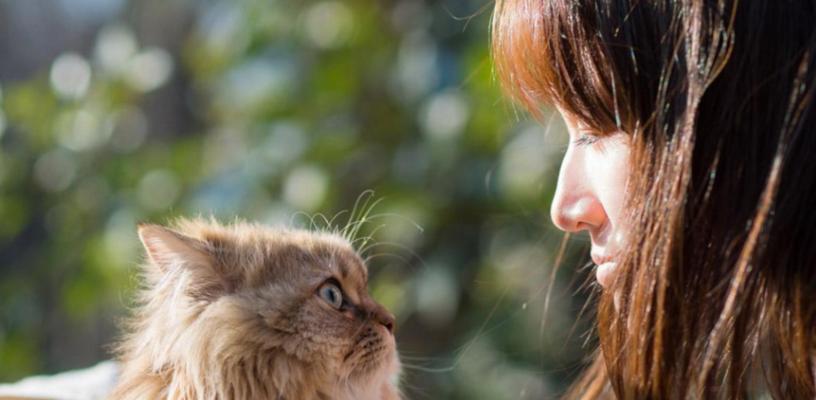 猫奴感冒了会不会传染给猫咪（宠物感染病毒的危害及预防方法）