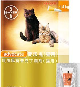 宠物猫如何正确喂食驱虫药（以猫驱虫药喂食技巧）