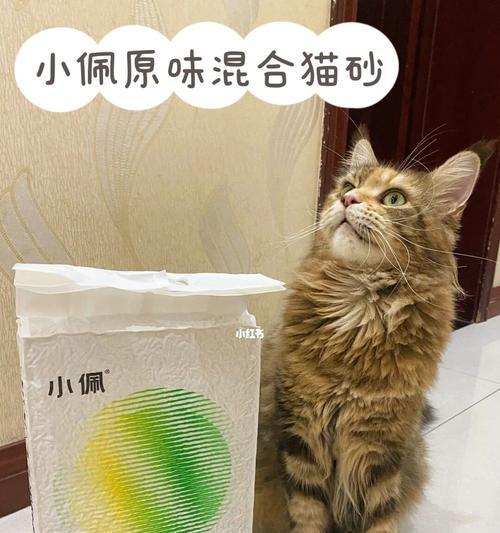 揭秘猫的砂耗量，你用对了吗（猫咪每天需要多少猫砂）