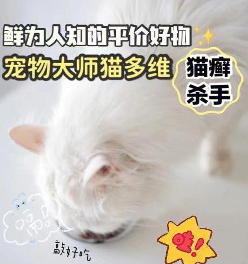 猫藓治疗猫咪的有效药物（以宠物为主的药物选择指南）