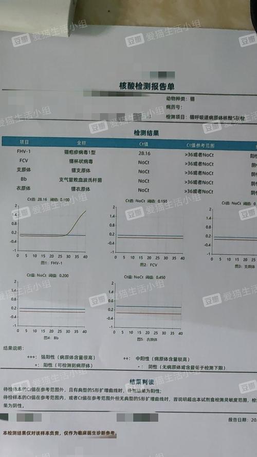 探究猫咪PCR检测，保障宠物健康（从基本原理到实际应用）