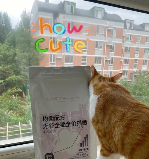 揭秘猫咪白蛋白0.3的重要性（了解宠物健康）