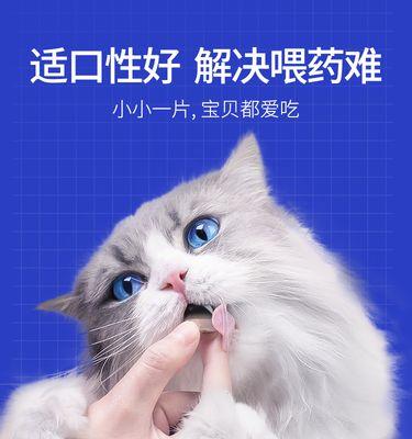 治疗猫咪膀胱结石（了解猫咪膀胱结石的成因和表现）