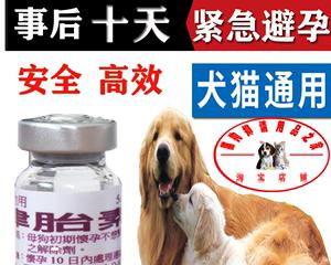 猫咪避孕药哪个牌子好（为您推荐最适合的猫咪避孕药）