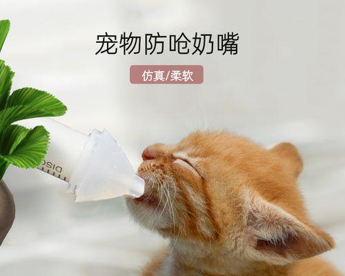 猫咪哺乳期呕吐分析（探究宠物猫咪哺乳期呕吐的原因及应对方法）