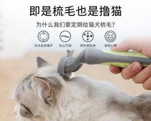 猫咪不让梳毛该如何应对（掌握这些技巧）