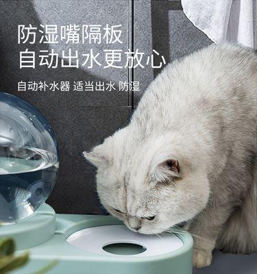 猫咪湿气重，如何调理肠道（宠物养护必知）