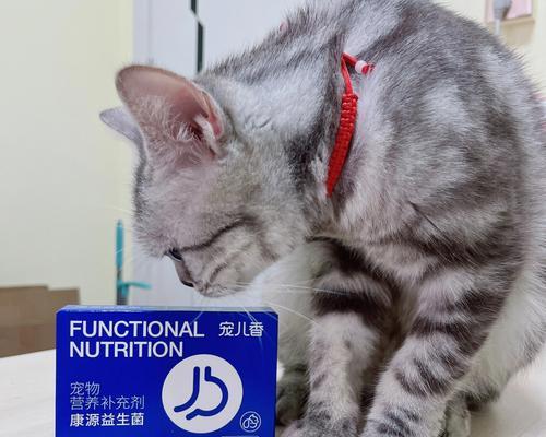 宠物猫咪如何应对肠胃不适（探寻猫咪拉肚子的原因与预防方法）