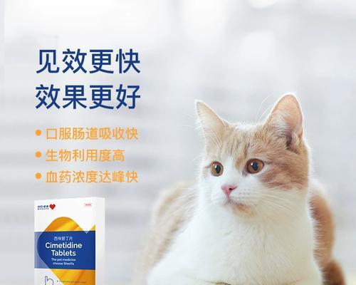 猫咪肠胃轻度炎症的防治方式（让你的爱宠远离肠胃问题）