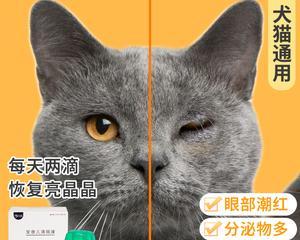 猫咪肠炎输液药物详解（以宠物为主）