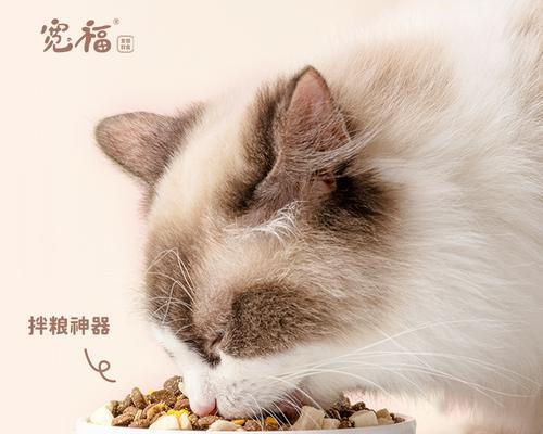 猫咪的冻干食品（了解猫咪冻干食品的正确用法与注意事项）