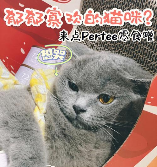 猫咪能吃罐头吗（探究宠物罐头是否安全的关键）