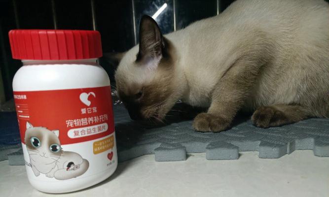 猫咪健康从口开始——益生菌的重要性（了解猫咪需要的益生菌）