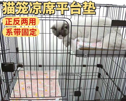 小猫咪吃了冰块后的危害与应对措施（宠物主人必读）