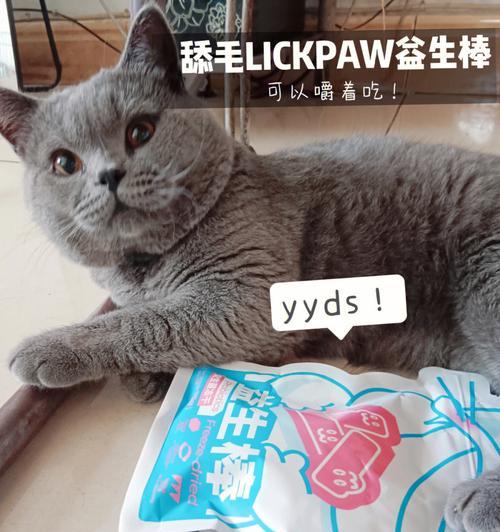 猫咪吃了益生菌吐了，如何避免宠物进食不当？