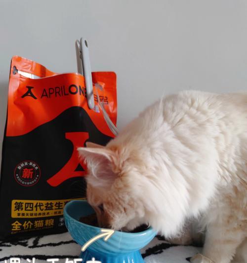 猫咪的健康饮食之道（以宠物为主）