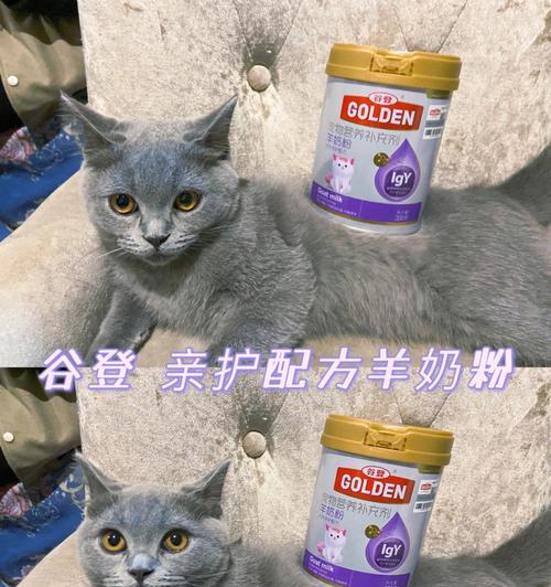 羊奶粉适合猫咪吃吗（什么时候开始喂猫咪羊奶粉）