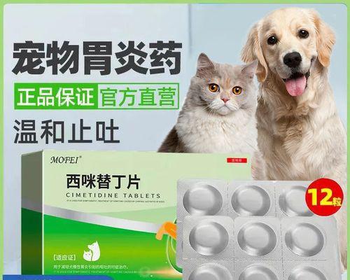 猫咪吃药后吐黄水怎么办（以宠物为主）