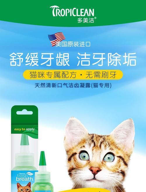 猫咪出车祸，失去牙齿的治疗方法（如何帮助宠物恢复牙齿功能）