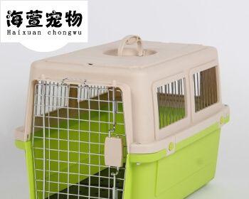 如何让宠物猫咪出门更安全（出门前必须知道的关键点和准备工作）