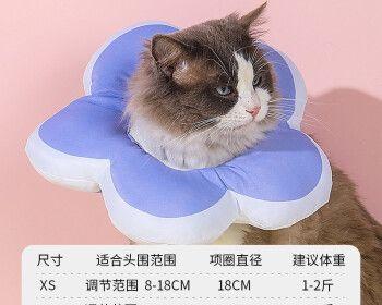 猫咪佩戴项圈的优缺点（宠物主人需知道的关于猫咪项圈的利弊）