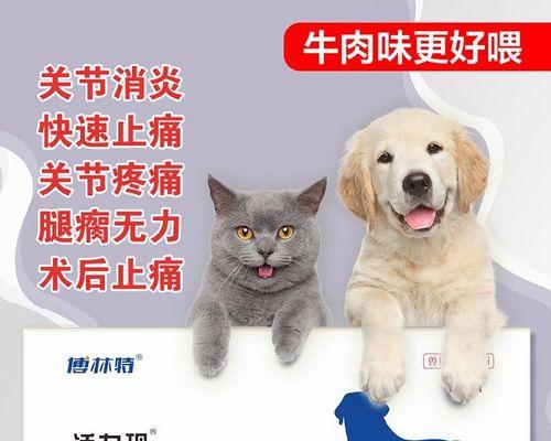 如何缓解宠物猫咪的关节炎问题（养护关节炎猫咪的六大秘诀）