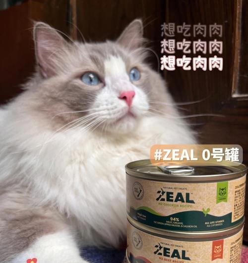 以青口贝为猫咪的补品（青口贝可以给猫咪吃吗）