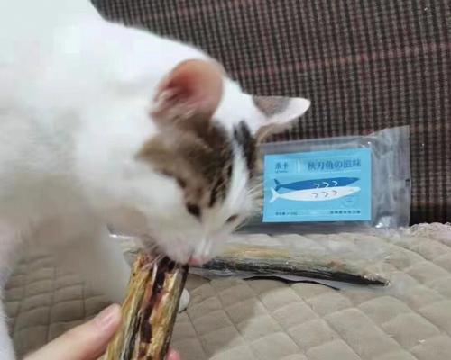 如何给宠物猫喂秋刀鱼（营养均衡的秋刀鱼喂食方法）